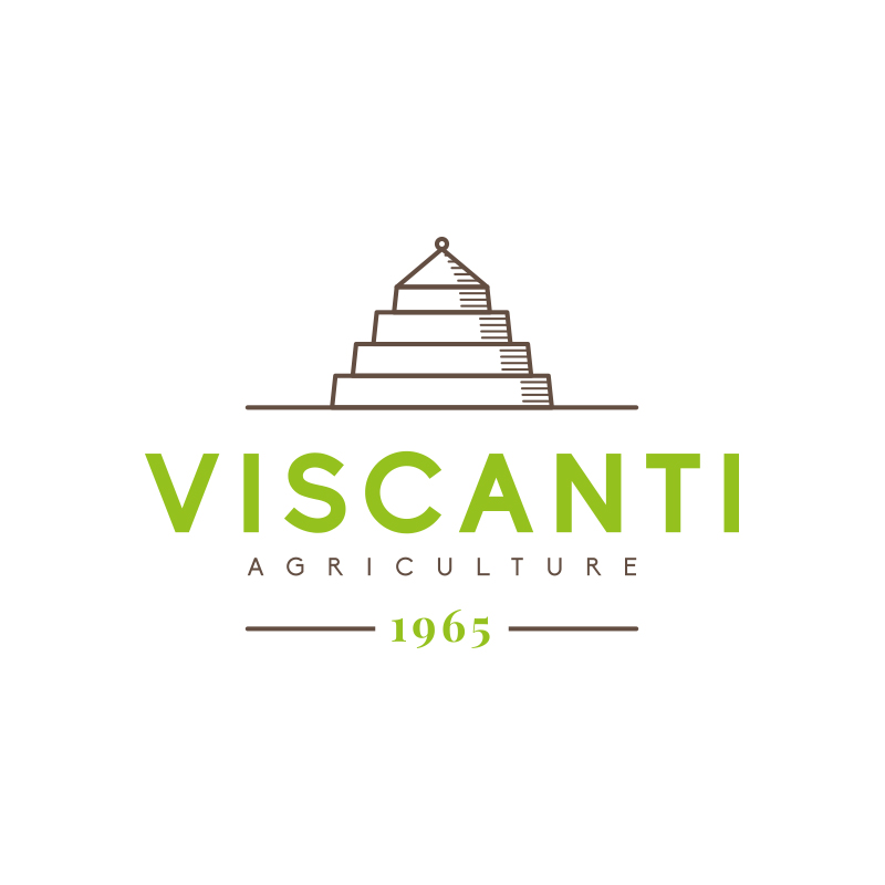 VISCANTI - Brand Identity